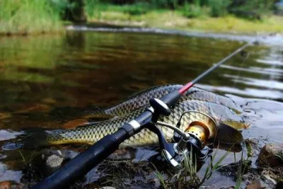 🐟 День рибалки