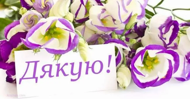 Всесвітній день Дякую