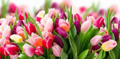 Міжнародний день краси