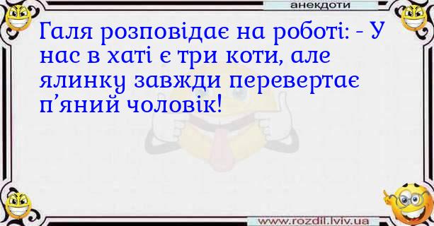 Анекдоти в картинках