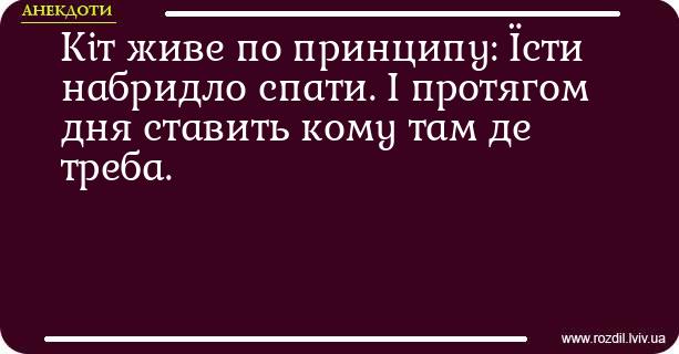 Анекдоти в картинках