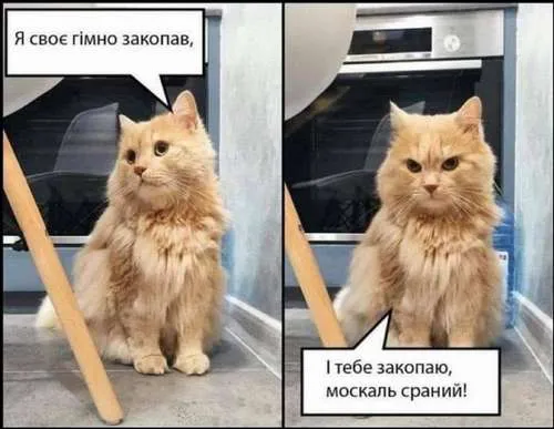 Анекдот у картинці №275