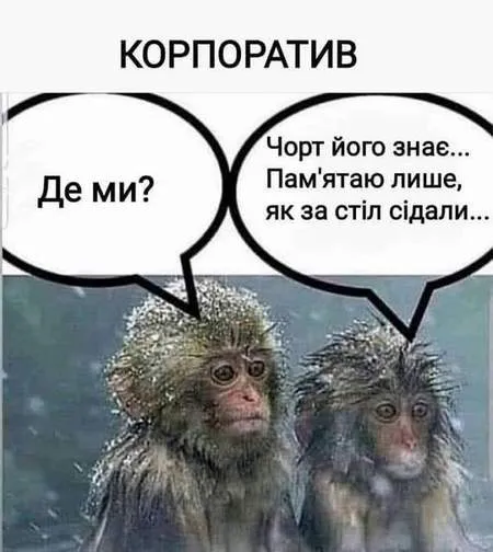 Анекдот у картинці №335