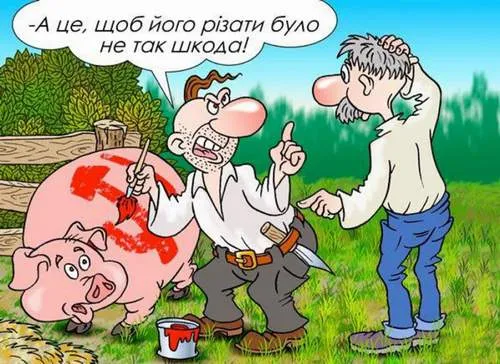 Анекдот у картинці №349