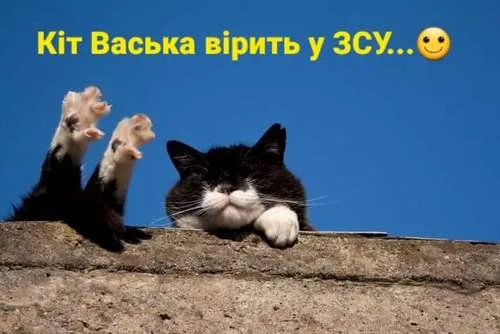 Анекдот у картинці №479