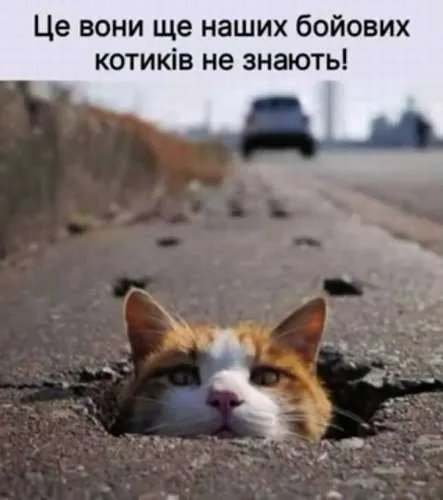 Анекдот у картинці №527