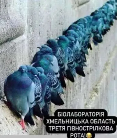 Анекдот у картинці №538