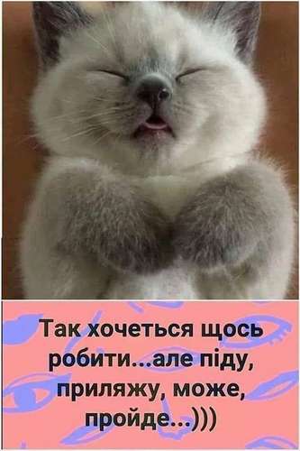 Анекдоти в картинках