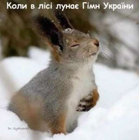 Анекдоти в картинках