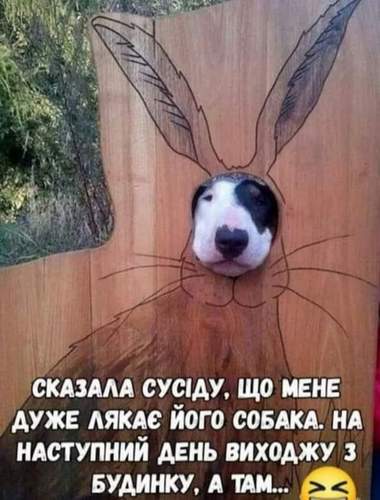 Анекдоти в картинках