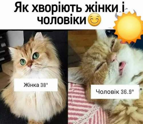 Анекдоти в картинках