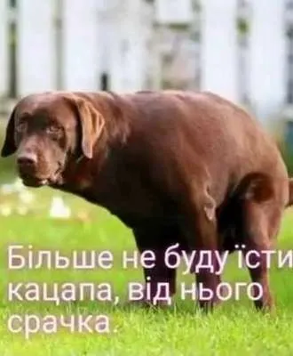 Анекдот у картинці №710