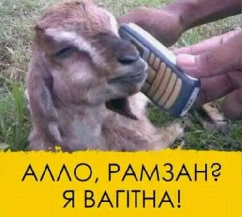 Анекдот у картинці №722