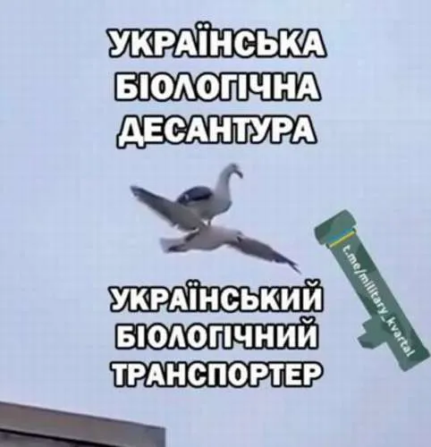 Анекдот у картинці №729