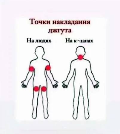 Анекдот у картинці №753
