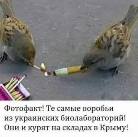 Анекдот у картинці №771