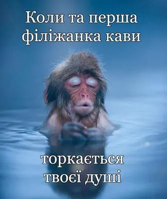 Анекдот у картинці №809