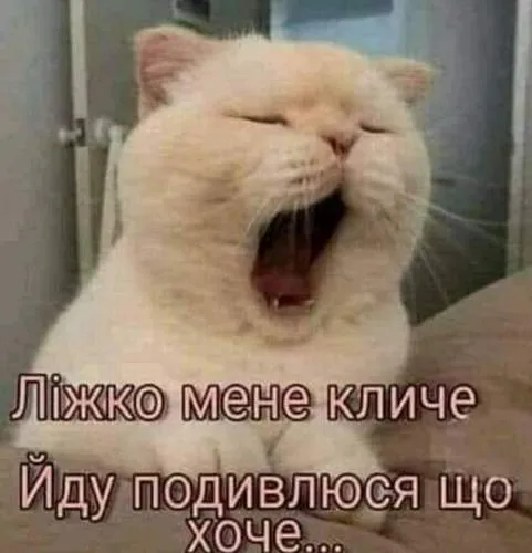 Анекдот у картинці №839