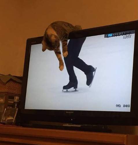 Анекдоти в картинках