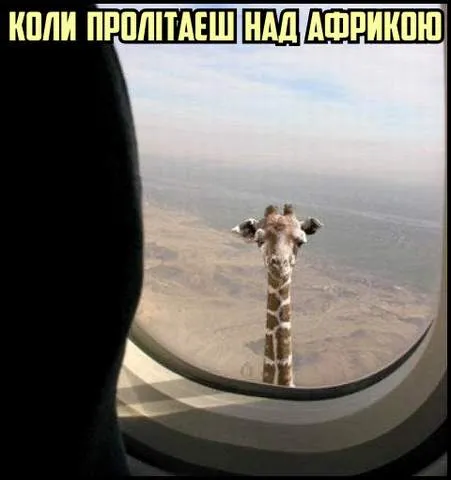 Анекдот у картинці №1000