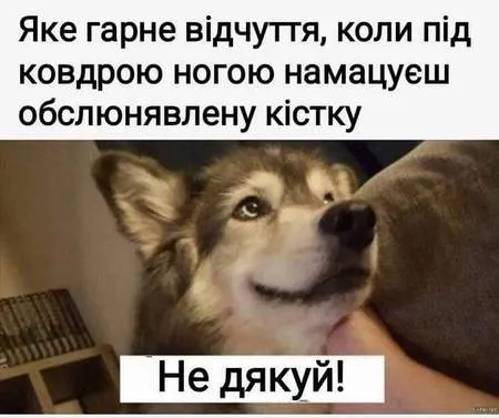 Анекдот у картинці №1041