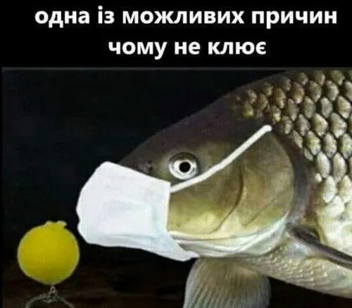 Анекдот у картинці №1051