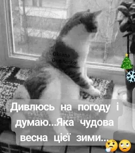 Анекдот у картинці №1054