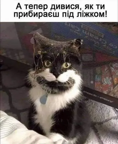 Анекдот у картинці №1111