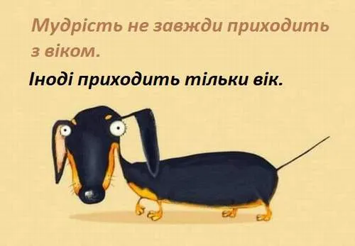 Анекдот у картинці №1113