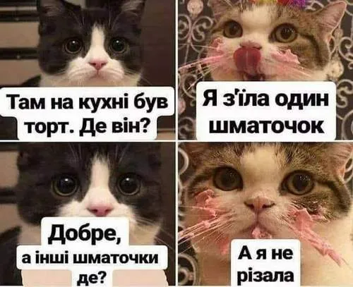 Мем №1121