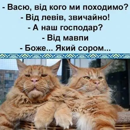 Анекдот у картинці №1157
