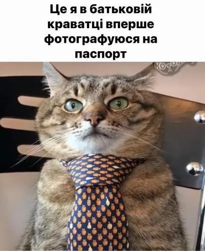 Анекдот у картинці №1161