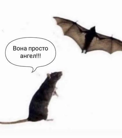 Анекдот у картинці №1185