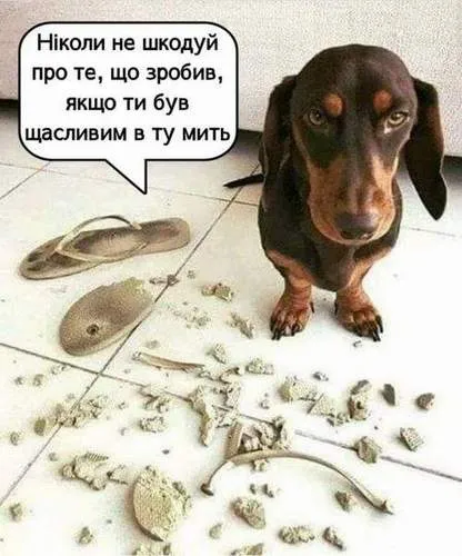 Анекдот у картинці №1188