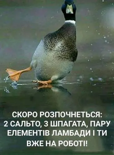 Анекдот у картинці №918