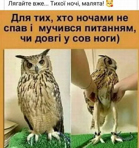 Анекдот у картинці №919