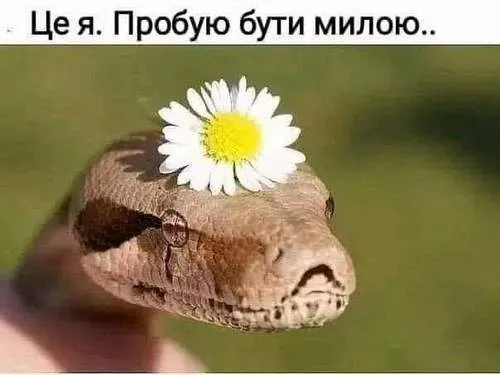 Анекдот у картинці №947