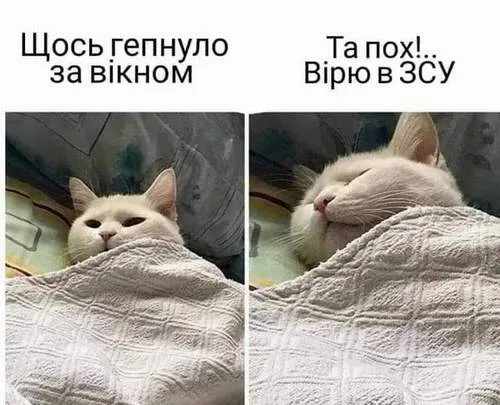 Анекдот у картинці №971