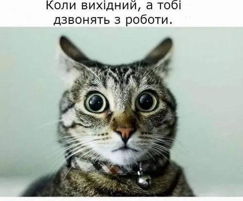 Анекдот у картинці №975