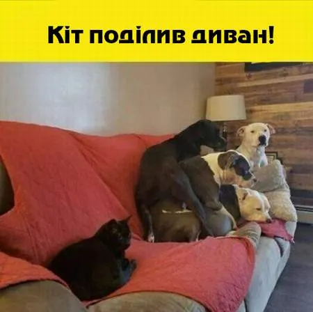 Анекдот у картинці №995