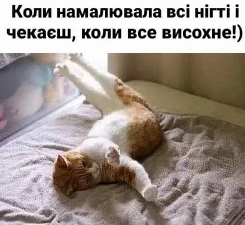 Анекдот у картинці №997