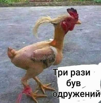 Анекдоти в картинках