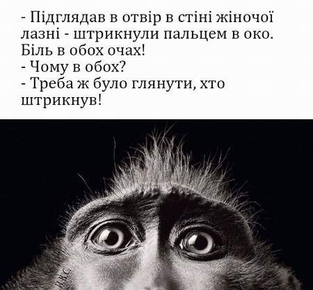 Анекдоти в картинках