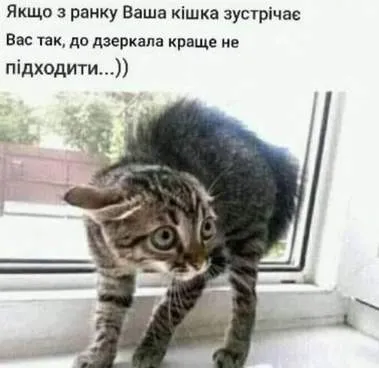Анекдот у картинці №1247