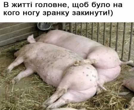 Анекдот у картинці №1260