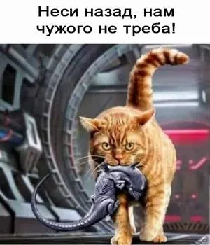 Анекдот у картинці №1267