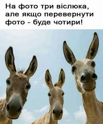 Анекдот у картинці №1268