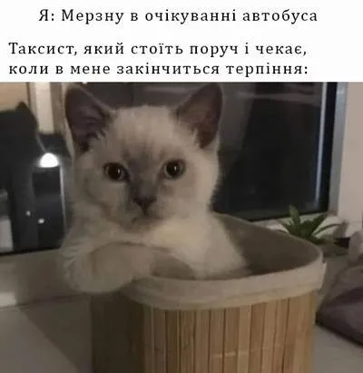 Анекдот у картинці №1277