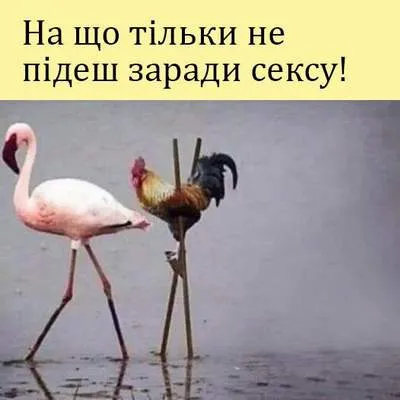 Анекдот у картинці №1308