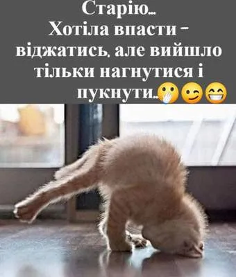 Анекдот у картинці №1325